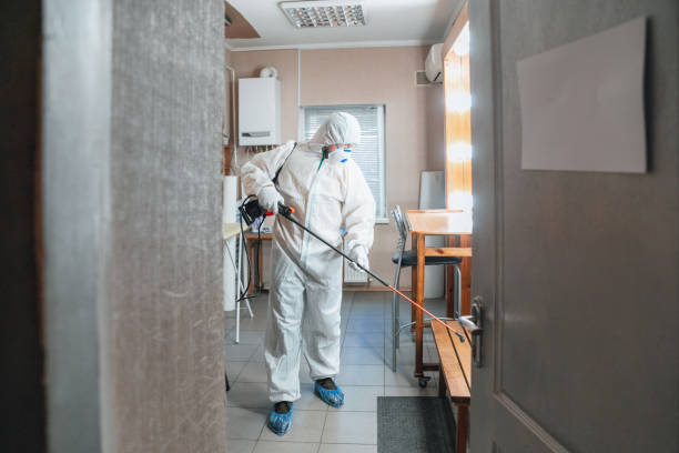 Best Industrial Mold Remediation  in La Mirada, CA