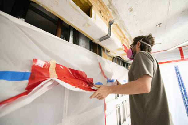 Best Environmental Consulting for Mold Prevention  in La Mirada, CA